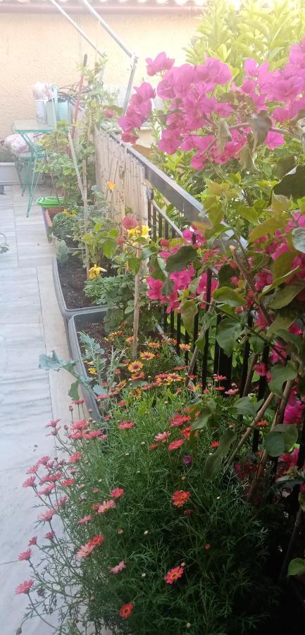 Aegina'S Flowers House المظهر الخارجي الصورة