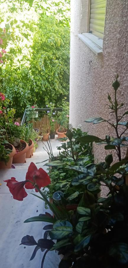 Aegina'S Flowers House المظهر الخارجي الصورة