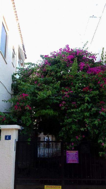Aegina'S Flowers House المظهر الخارجي الصورة