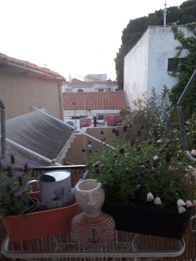 Aegina'S Flowers House المظهر الخارجي الصورة