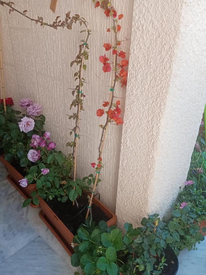 Aegina'S Flowers House المظهر الخارجي الصورة