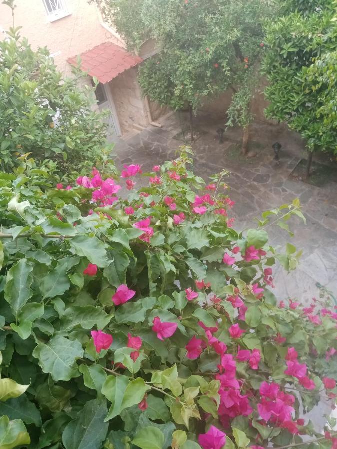 Aegina'S Flowers House المظهر الخارجي الصورة