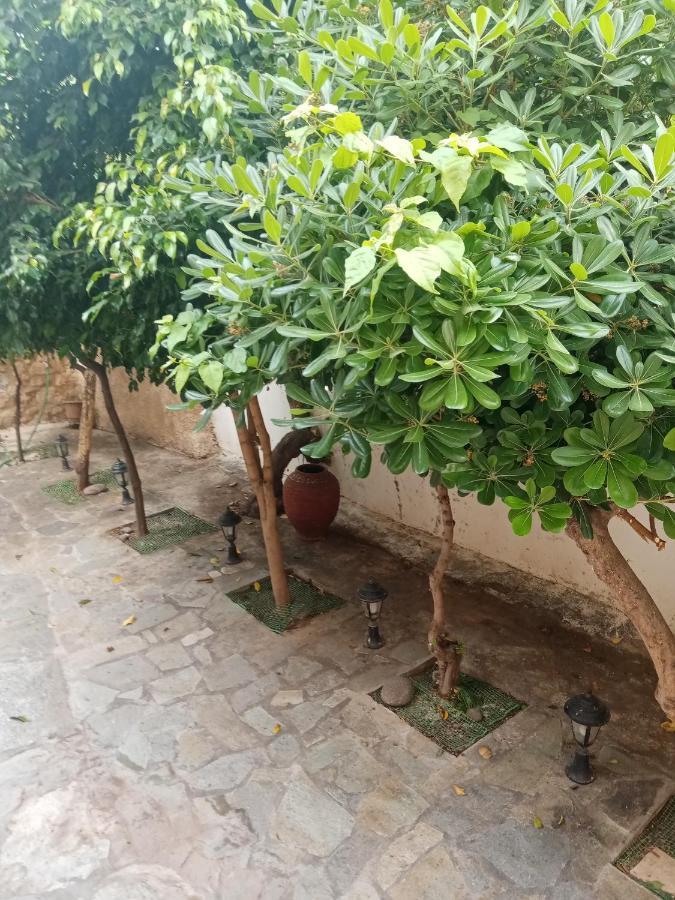 Aegina'S Flowers House المظهر الخارجي الصورة
